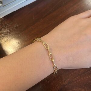 Nicole Rose Jewelry Gold Link Bracelet
